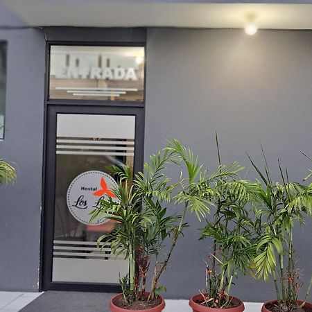 Hostal Los Lirios Loja Zewnętrze zdjęcie
